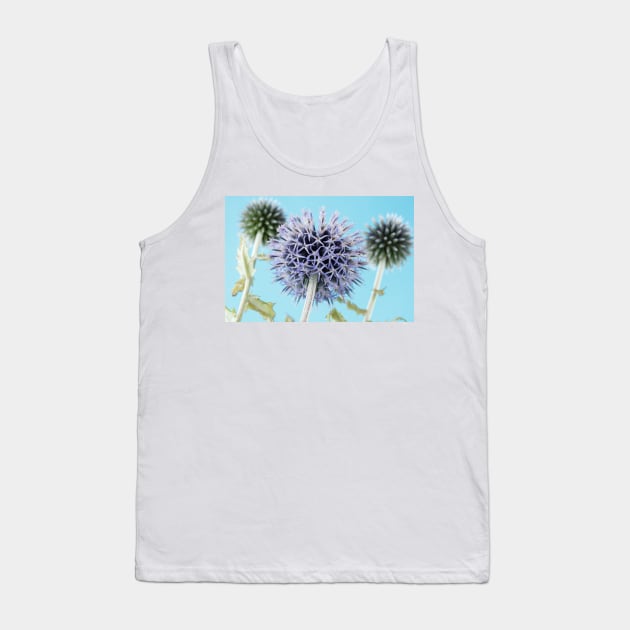 Echinops bannaticus  'Blue Globe'  Globe thistle Tank Top by chrisburrows